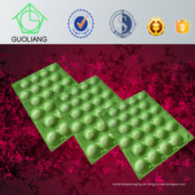 China Berufshersteller SGS FDA-Zustimmungs-Avocado-Gebrauchs-Plastikbehälter für die Frucht-Verpackung gemacht vom Nahrungsmittelgrad-Polypropylen